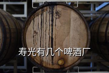 壽光有幾個啤酒廠