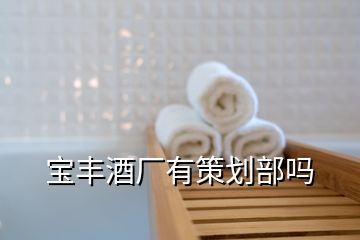 寶豐酒廠有策劃部嗎