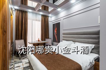 沈陽哪賣小金斗酒