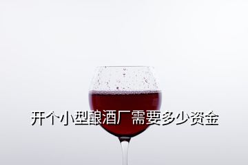 開個小型釀酒廠需要多少資金