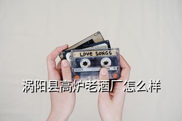 渦陽縣高爐老酒廠怎么樣