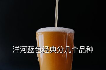 洋河藍(lán)色經(jīng)典分幾個(gè)品種