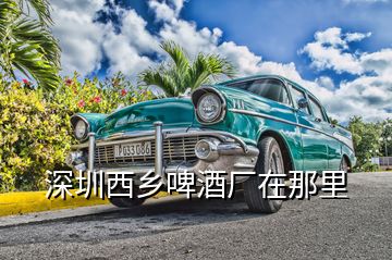 深圳西鄉(xiāng)啤酒廠在那里