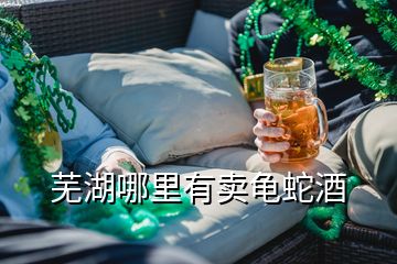 蕪湖哪里有賣龜蛇酒