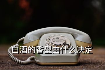 白酒的香型由什么決定