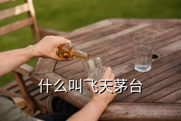 什么叫飛天茅臺