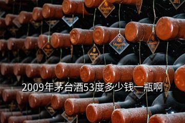 2009年茅臺酒53度多少錢一瓶啊