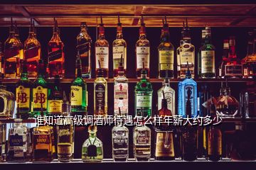 誰(shuí)知道高級(jí)調(diào)酒師待遇怎么樣年薪大約多少