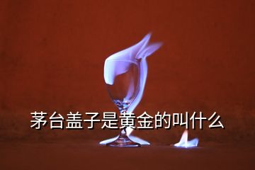 茅臺(tái)蓋子是黃金的叫什么