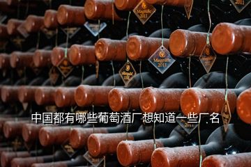 中國都有哪些葡萄酒廠想知道一些廠名