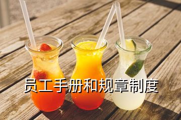 員工手冊(cè)和規(guī)章制度