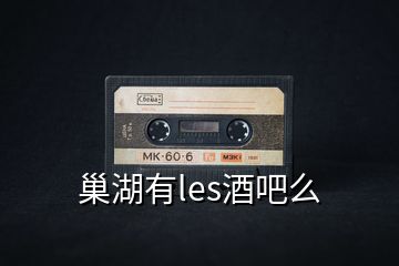 巢湖有l(wèi)es酒吧么