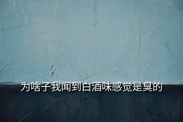 為啥子我聞到白酒味感覺(jué)是臭的