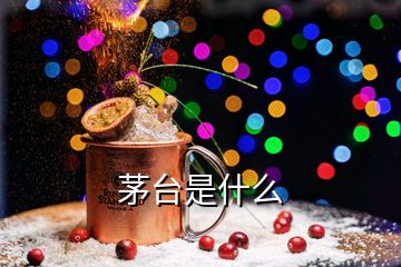 茅臺(tái)是什么