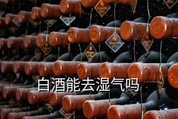 白酒能去濕氣嗎