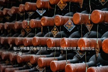鞍山中糧集團有限責(zé)任公司咋樣待遇和環(huán)境 急 麻煩各位了  搜