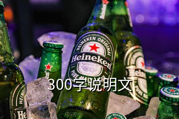 300字說(shuō)明文