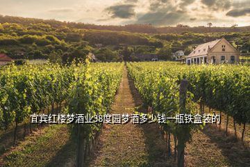 宜賓紅樓夢(mèng)酒業(yè)38度園夢(mèng)酒多少錢一瓶鐵盒裝的