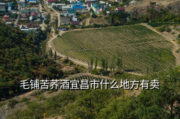 毛鋪苦蕎酒宜昌市什么地方有賣