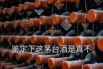 鑒定下這茅臺酒是真不