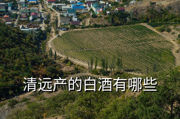 清遠產(chǎn)的白酒有哪些