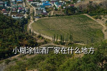 小糊涂仙酒廠家在什么地方