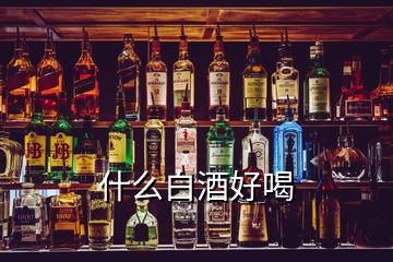 什么白酒好喝