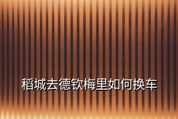 稻城去德欽梅里如何換車