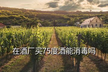 在酒廠買75度酒能消毒嗎