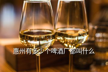 惠州有多少個(gè)啤酒廠都叫什么