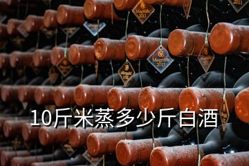 10斤米蒸多少斤白酒