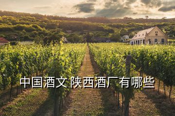 中國(guó)酒文 陜西酒廠(chǎng)有哪些