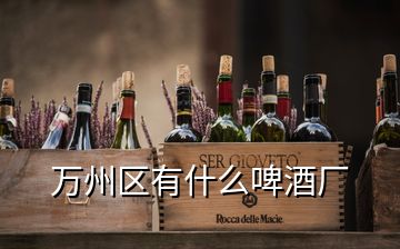 萬(wàn)州區(qū)有什么啤酒廠