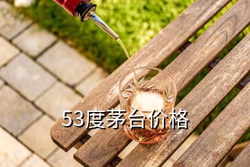 53度茅臺價格