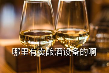 哪里有賣釀酒設(shè)備的啊