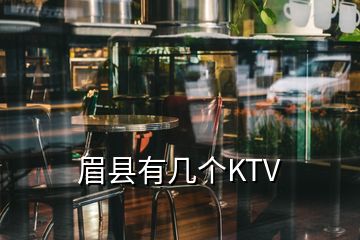 眉縣有幾個(gè)KTV