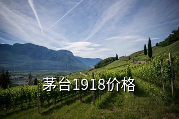 茅臺1918價格