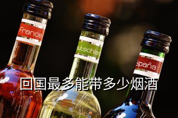 回國(guó)最多能帶多少煙酒