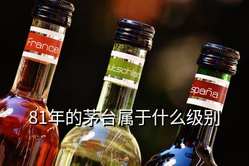 81年的茅臺(tái)屬于什么級(jí)別