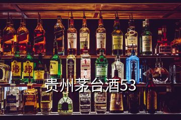 貴州茅臺(tái)酒53