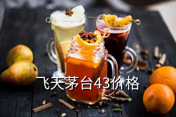 飛天茅臺(tái)43價(jià)格