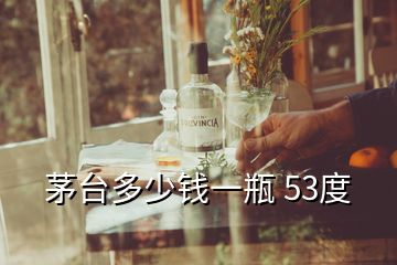 茅臺(tái)多少錢(qián)一瓶 53度