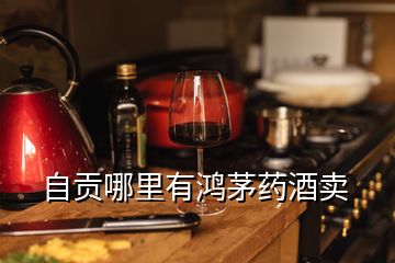 自貢哪里有鴻茅藥酒賣