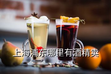 上海浦東哪里有酒精賣