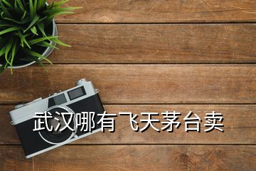 武漢哪有飛天茅臺(tái)賣