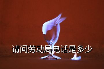 請(qǐng)問(wèn)勞動(dòng)局電話(huà)是多少