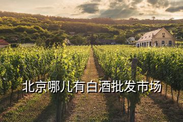 北京哪兒有白酒批發(fā)市場