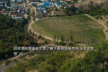 回收酒到哪里去了想了解下看有沒有市場 沒其他意思  問