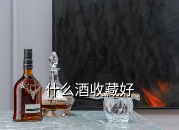 什么酒收藏好