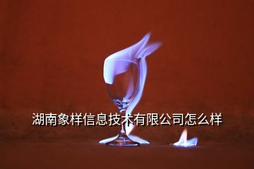 湖南象樣信息技術(shù)有限公司怎么樣